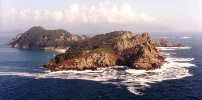 {short description of image}