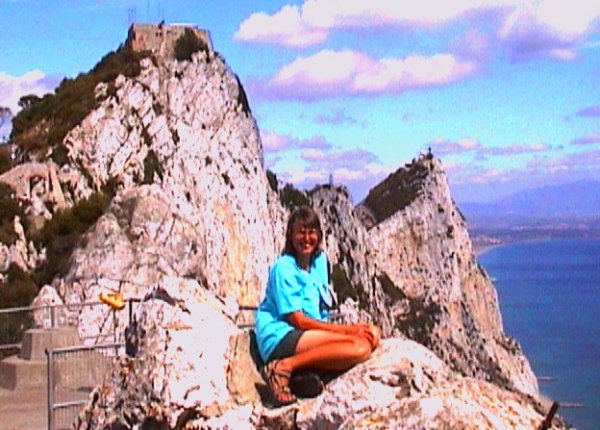 {short description of image}