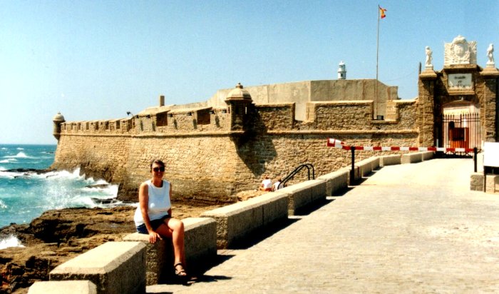 {short description of image}