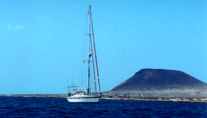 {short description of image}