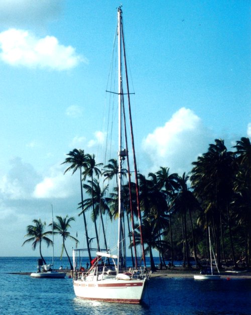 {short description of image}