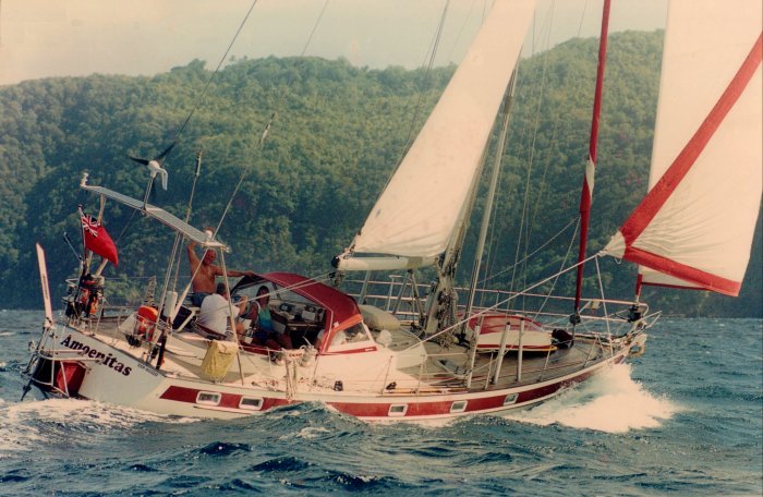 {short description of image}