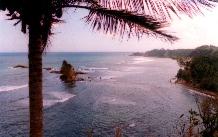 {short description of image}