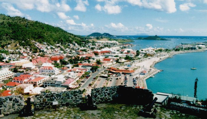 {short description of image}