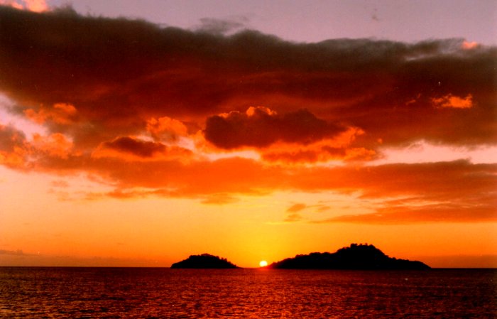 {short description of image}