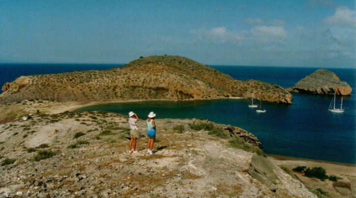 {short description of image}