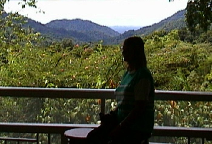 {short description of image}