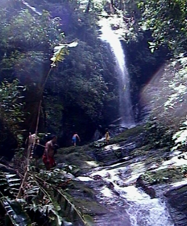 {short description of image}