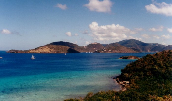 {short description of image}