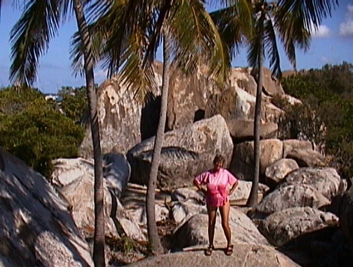 {short description of image}