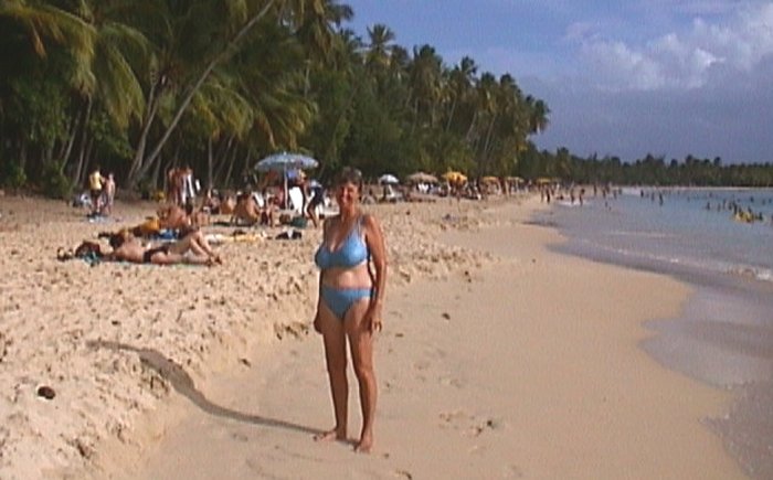 {short description of image}