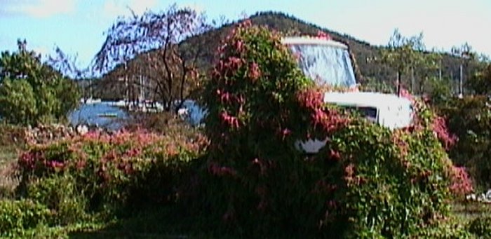 {short description of image}