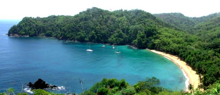 {short description of image}