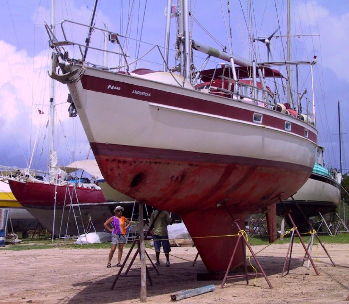 {short description of image}