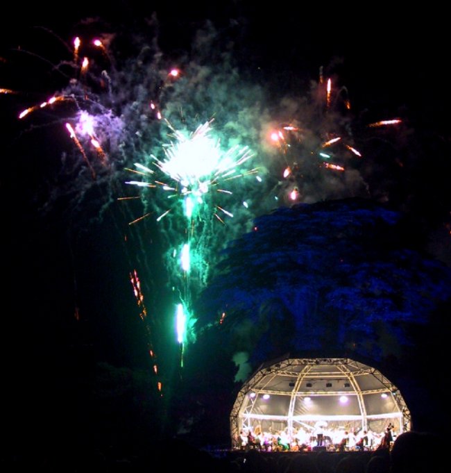 {short description of image}