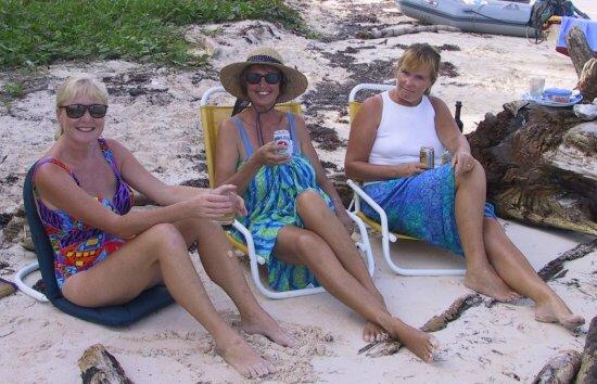 {short description of image}