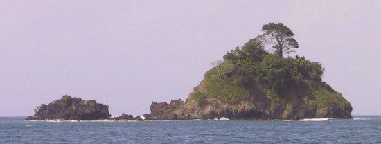 {short description of image}