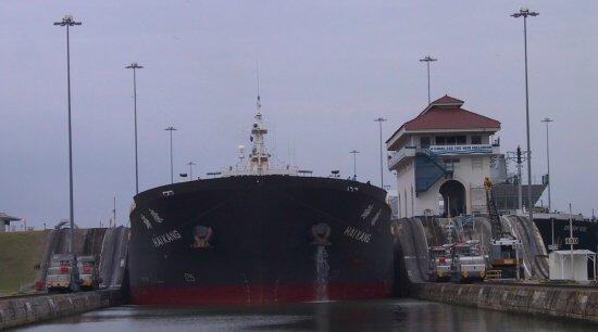 {short description of image}