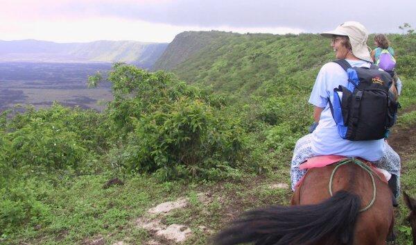 {short description of image}