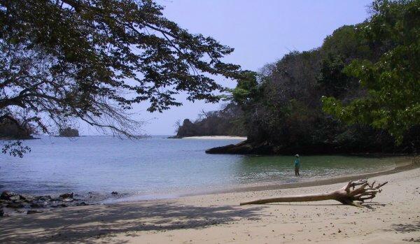 {short description of image}