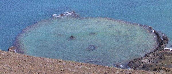 {short description of image}