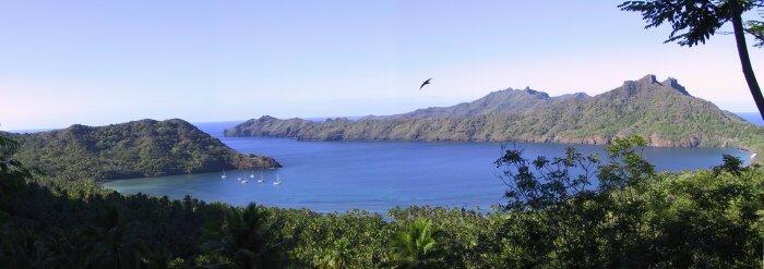 {short description of image}