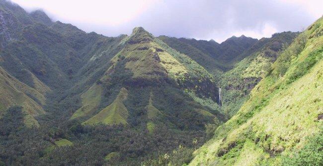 {short description of image}