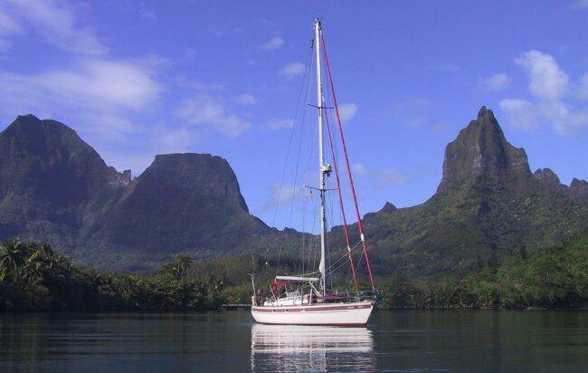 {short description of image}