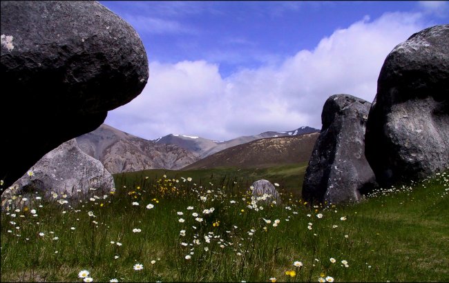 {short description of image}