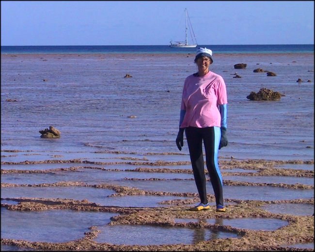 {short description of image}