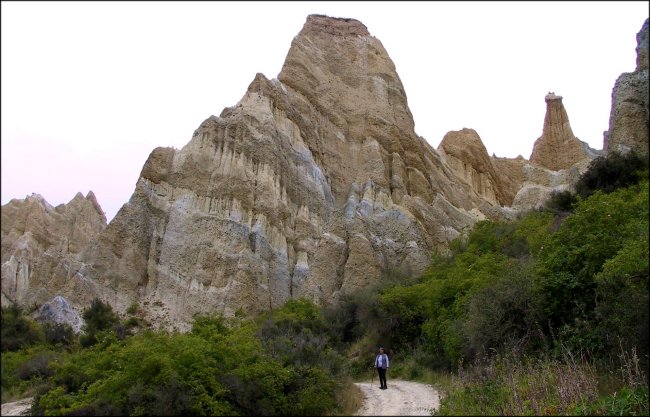 {short description of image}