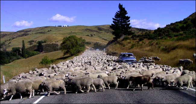 {short description of image}