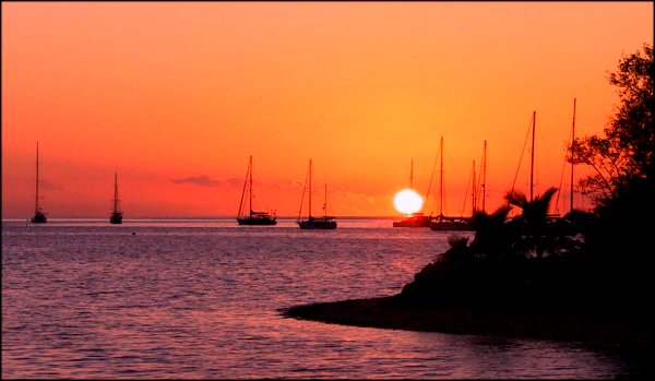 {short description of image}