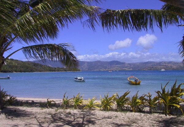 {short description of image}