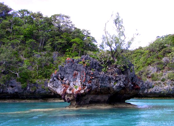 {short description of image}