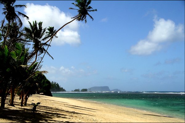 {short description of image}