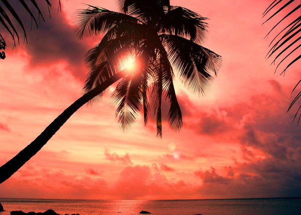 {short description of image}