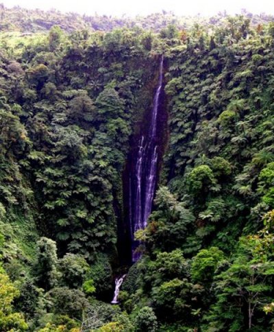 {short description of image}