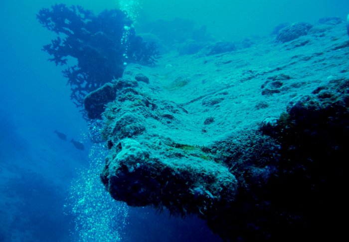 {short description of image}