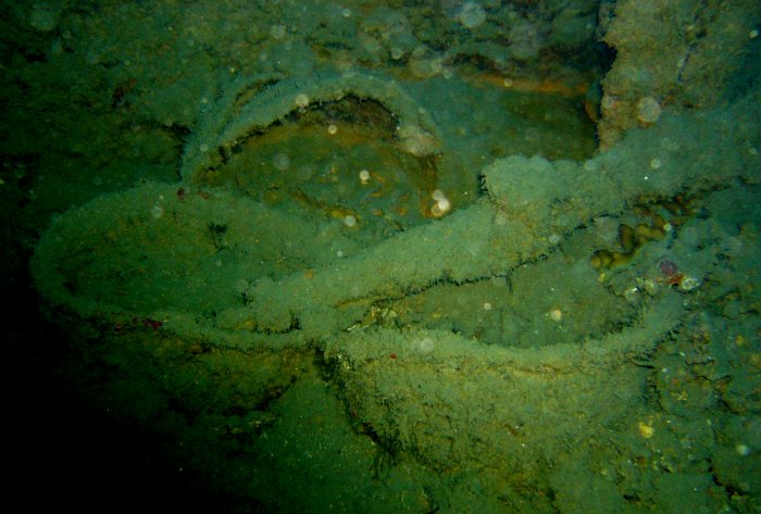 {short description of image}