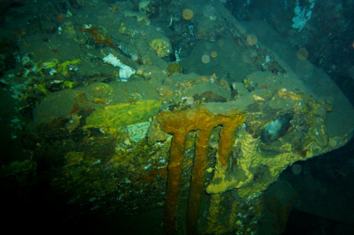 {short description of image}