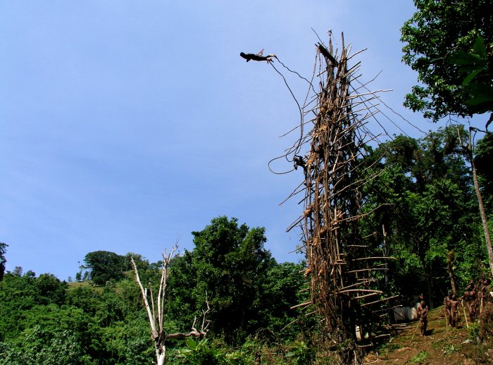 {short description of image}