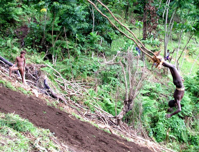 {short description of image}