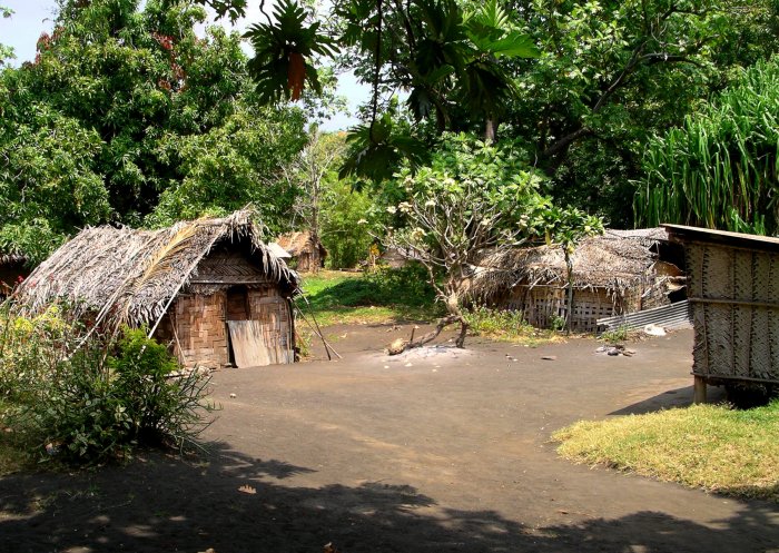 {short description of image}