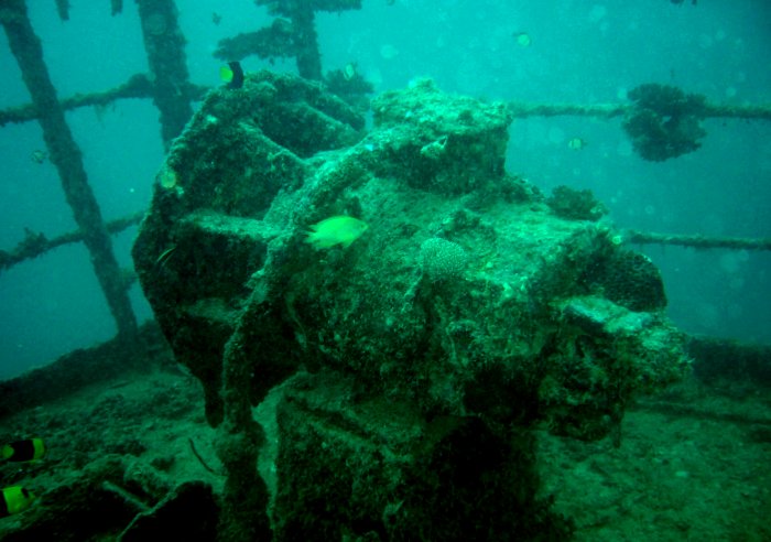 {short description of image}