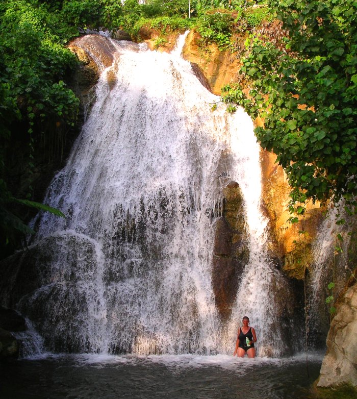 {short description of image}