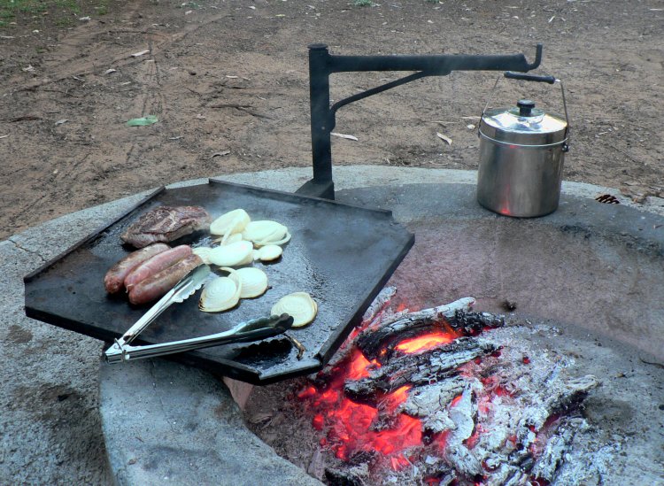 {short description of image}