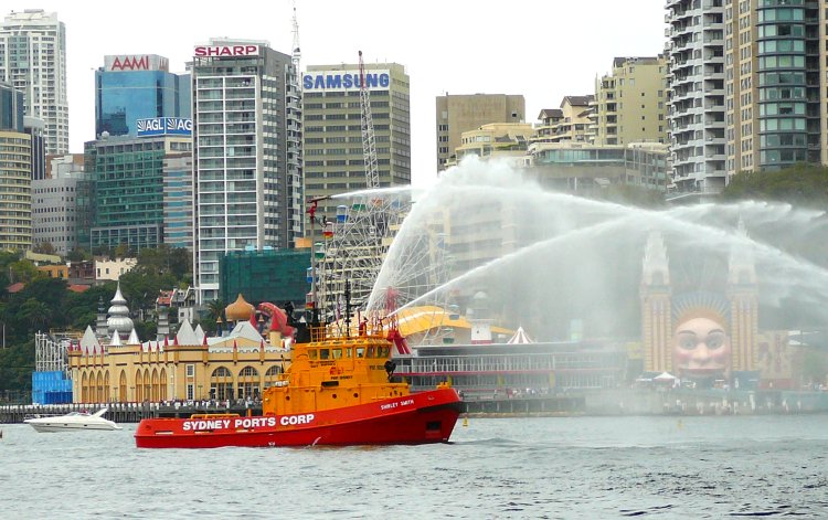 {short description of image}