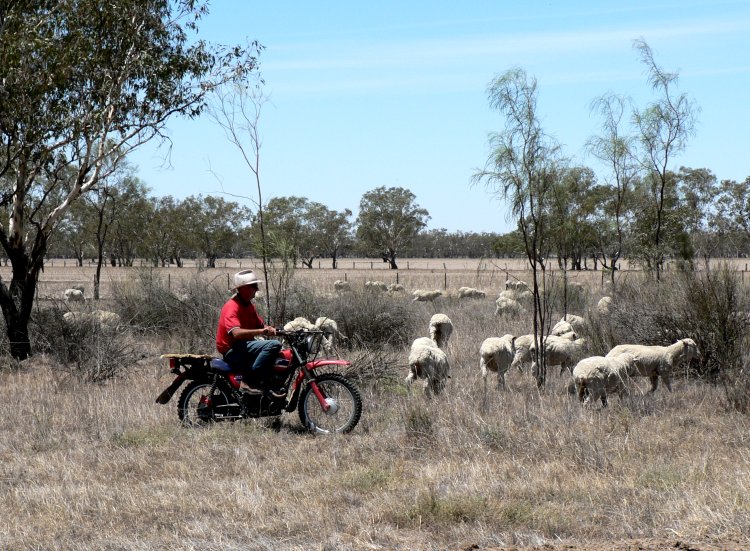 {short description of image}