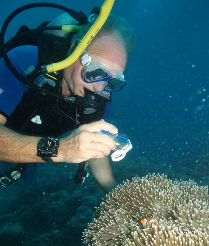 {short description of image}